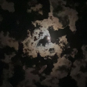 Walking Under Moon