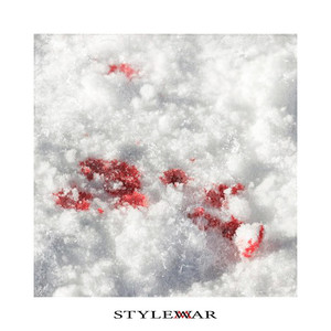 Cover art: STYLEWAR
