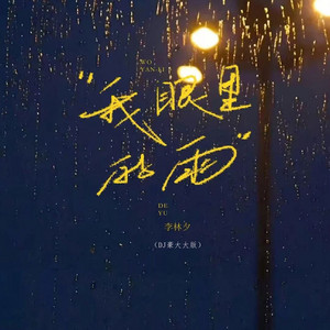 我眼里的雨 - DJ豪大大版 by 李林夕, DJ豪大大