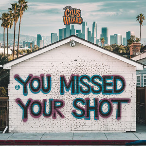You Missed Your Shot
