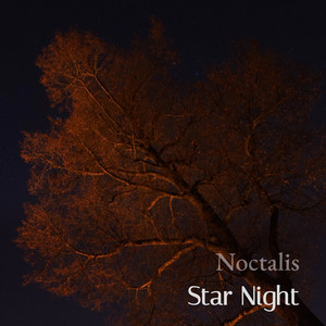 Star Night by Noctalis