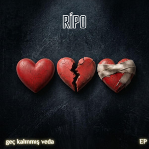 senin yolunda by Ripo