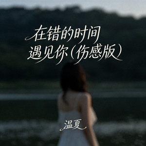 在错的时间遇见你 - 伤感版 by 温夏