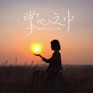 Wei Jia Yi - 掌心之中 (迷人DJ版)