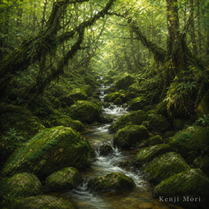 Yakushima - Rainfall by Kenji Mori