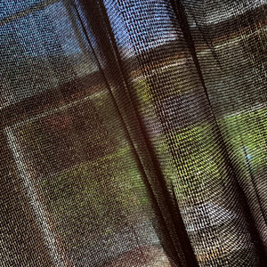 Travis scoot