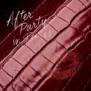 After Party in Paris by T-TRA8, ND Kobi', Tonny Rich