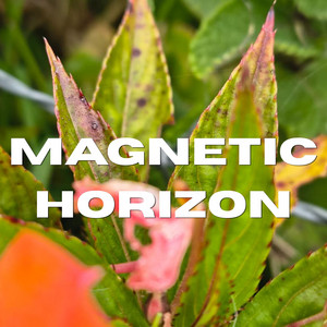 Magnetic Horizon by Manolo Reyes