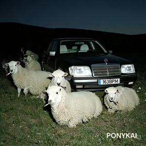 BTFL — Ponykai