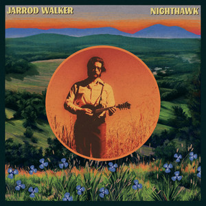album cover: Nighthawk