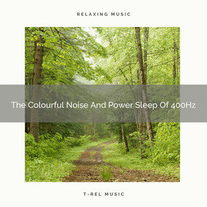 The Colourful Noise And Power Sleep Of 400Hz album