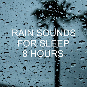 Rain Sounds for Sleep 8 Hours album
