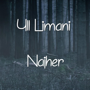 Yll Limani - Najher