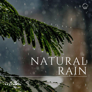 Natural Rain album