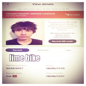 lime bike by yusi, michael finnegan, mustybuds