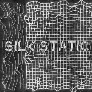 Zero Division by Silk Static