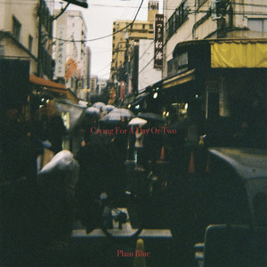 Crying For A Day Or Two by Plain Blue