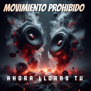 AHORA LLORAS TU by MOVIMIENTO PROHIBIDO