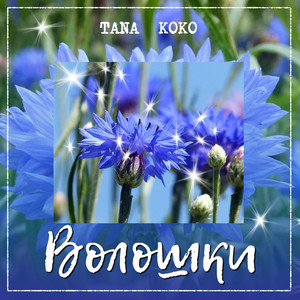 Волошки by Tana Koko