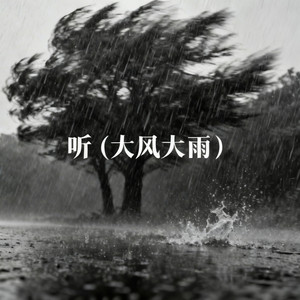 听 (大风大雨) by 廖不起