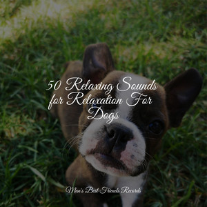 50 Relaxing Sounds for Relaxation For Dogs album