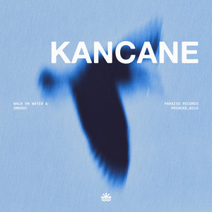 Kancane by Walk on Water, OMERGY