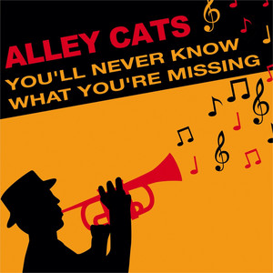 Touching Me, Touching You by Alley Cats