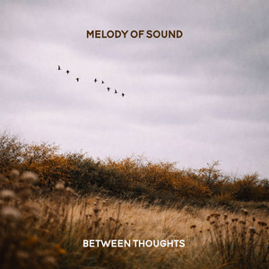 Between Thoughts by Melody of Sound