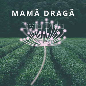 Liviu Didu - Mama Draga