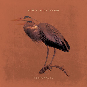 Lower Your Guard by Astronaute