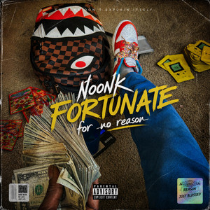 For no reason - Hating Version by Noonk Fortunate