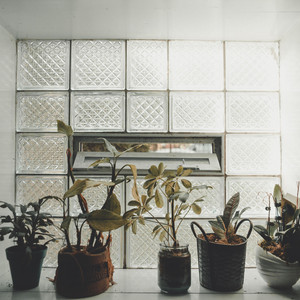Honeydew by Small Talks, Cayley Spivey