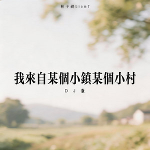 我来自某个小镇某个小村 - DJ版 by 林子祺Liam7, 凌奈