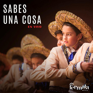 Guillermo Freijido - Sabes Una Cosa (feat. Fermaltos, Sebastián Atai, Mariachis Fernandez Uruguay & Fermata Music) [En vivo]