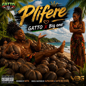 Plifere by Big One, Gatto