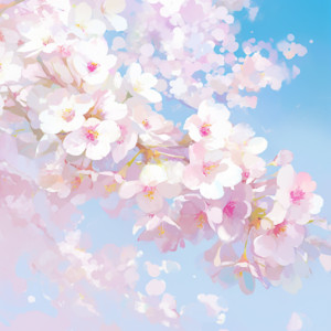 寿司娘 - Cherry Blossom Dreams