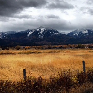 Montana by Stephen Abu
