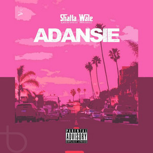 Shatta Wale - Adansie