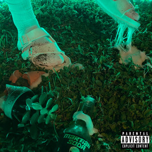 Portada de Timing