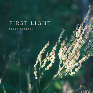 First Light by Simon Gepertz