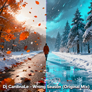 Wrong Season - Original Mix by Dj CardinaLe