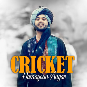 Hamayoun Angar - Cricket