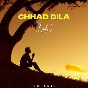 Vibetrax - Chhad Dila (feat. Im Anil)