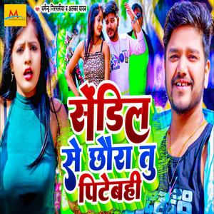 Dharmendra Nirmaliya & Alka Yadav - Sendil Se Chhaura Tu Pitebahi