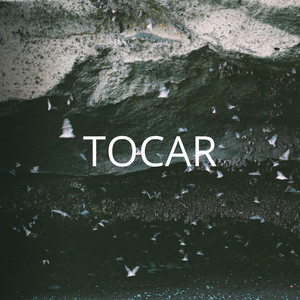 Tocar by Maikol Frescx