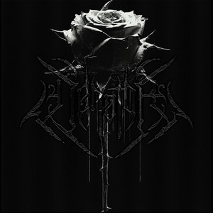 I Feel Nothing by VENATOR