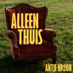 Alleen Thuis by Antje Krook