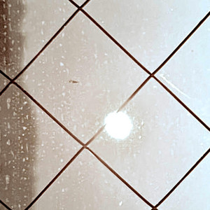 Shine