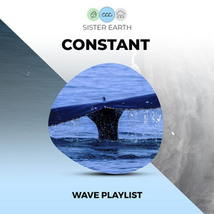 Constant Wave Playlist album