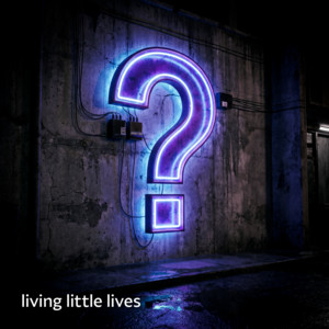 Question Mark by living little lives